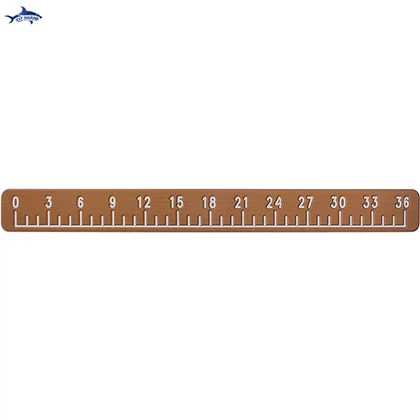 EVA Fish Ruler